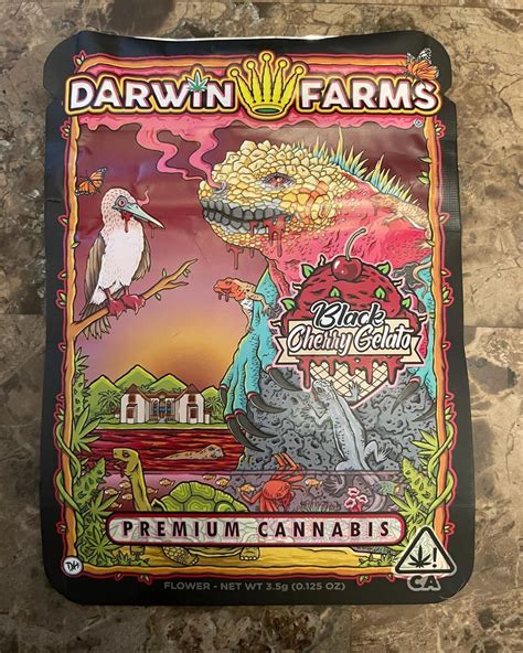 White <strong>Cherry Gelato</strong> by <strong>Darwin</strong> Farmers is an evenly balanced hybrid strain (50% indica/50% sativa) created through crossing the classic White <strong>Cherry</strong> X <strong>Gelato</strong> strains. . Darwin farms cherry gelato